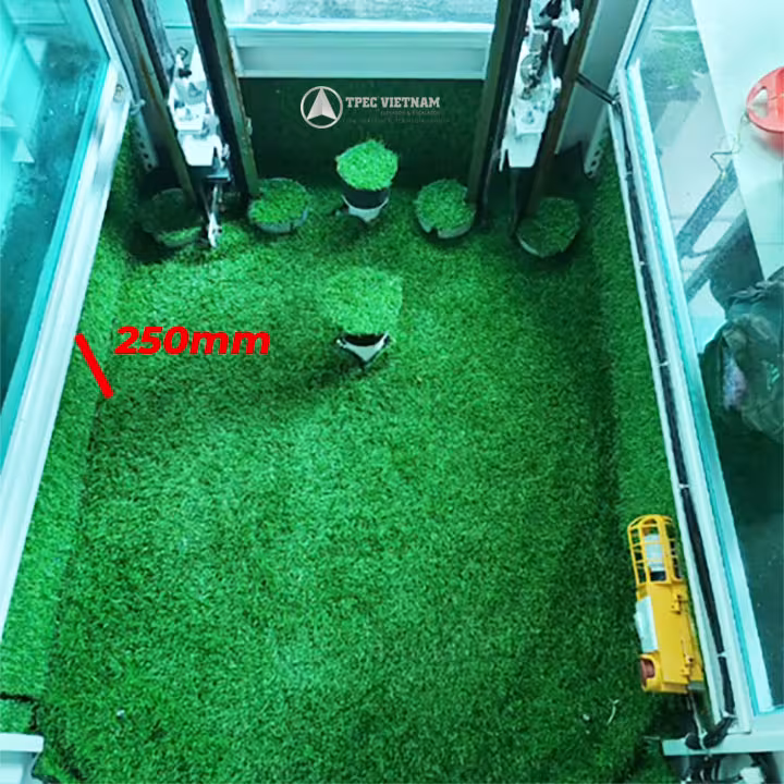 Đáy hố pit nông 250mm của thang máy kính, sàn trải cỏ nhân tạo